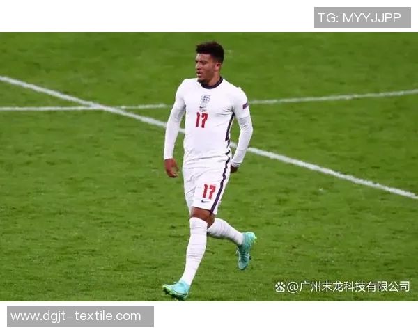 桑乔:从天才少年到足球巨星的奋斗历程与未来展望 桑乔:从天才少年到足球巨星的奋斗历程与未来展望