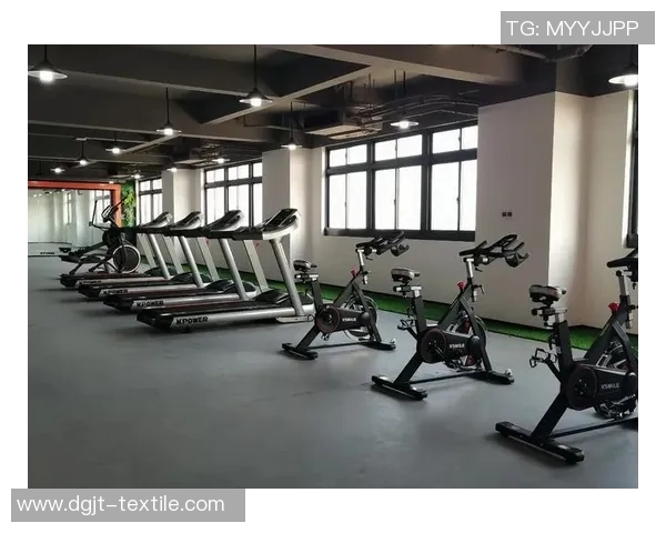 全面解析室内体育健身器材种类及其功能特点助你打造完美家庭健身房