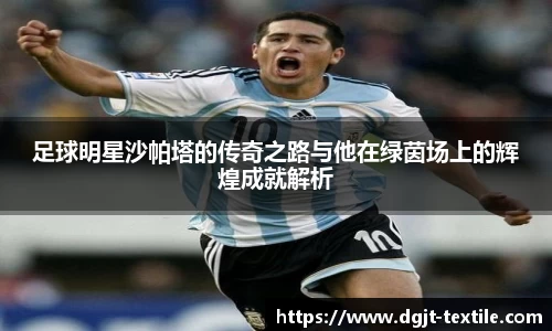 足球明星沙帕塔的传奇之路与他在绿茵场上的辉煌成就解析